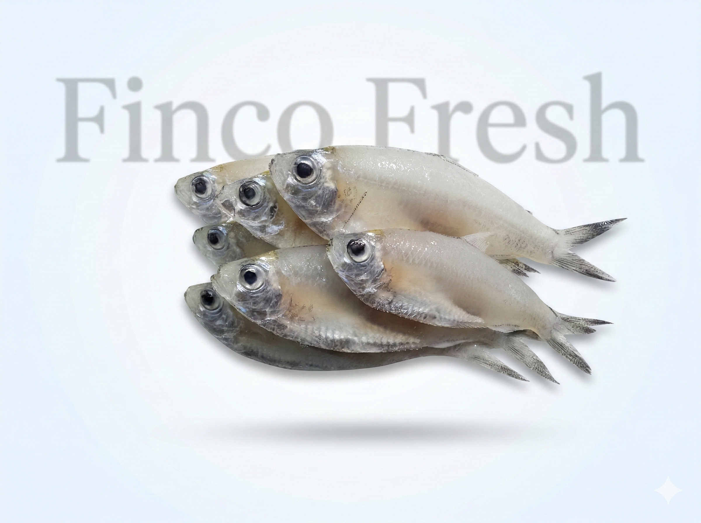 Anchovies (Neteli) - Image 1