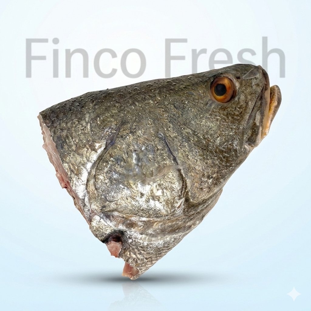 Black-Spotted-Crocker-Head Ghol - Image 1