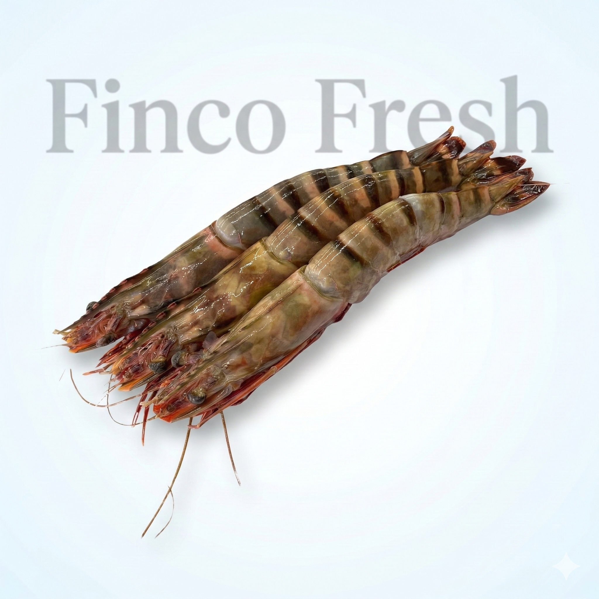 Tiger Prawns - Image 1