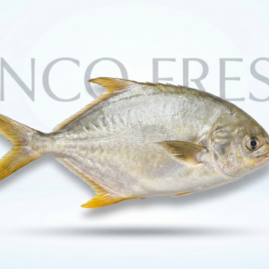 Golden Promfret 3Pcs