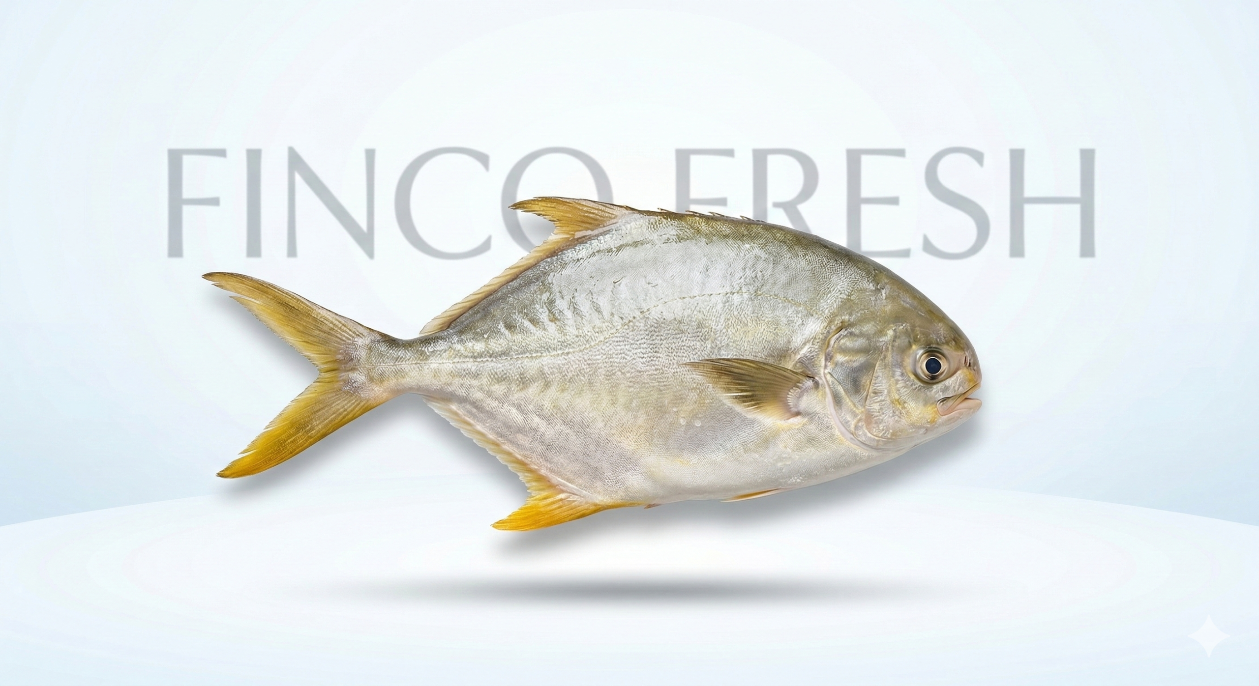 Golden Promfret 3Pcs - Image 1