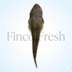 Erial Fish