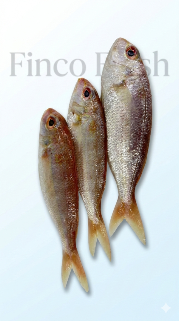 Japanese threadfin Bream