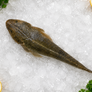 Erial Fish