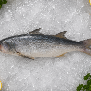 Indian Salmon (Rawas)