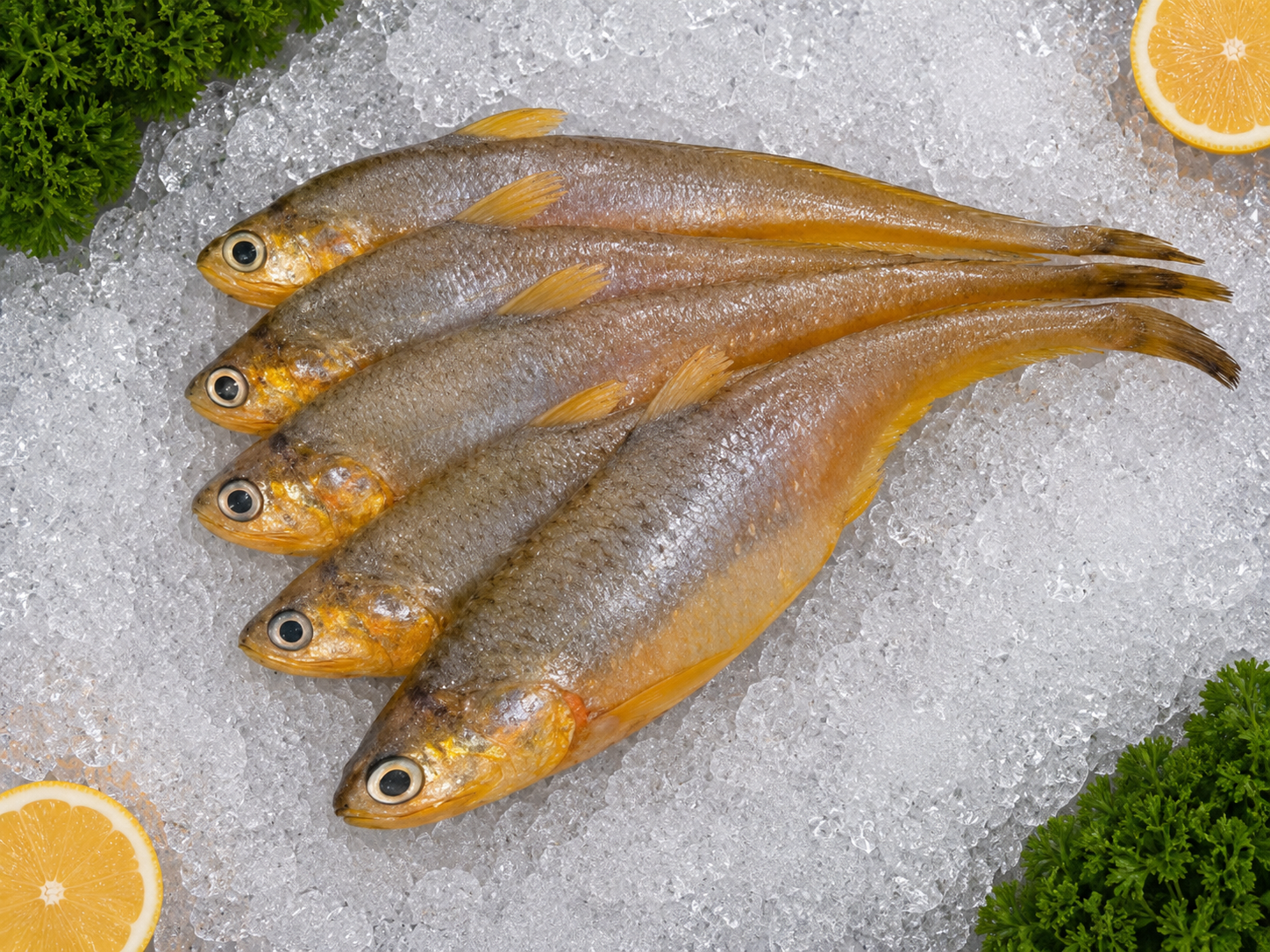 Golden Anchovies(Mandeli) - Image 1