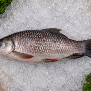 Rohu Fish
