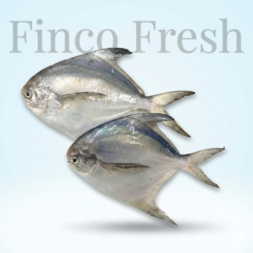 Silver Prompfret - Image 1