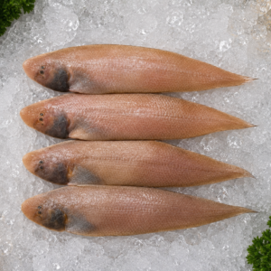 Solefish (Small Lepo) 1KG