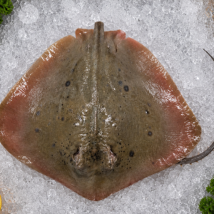 Stingray Fish (Raifish)